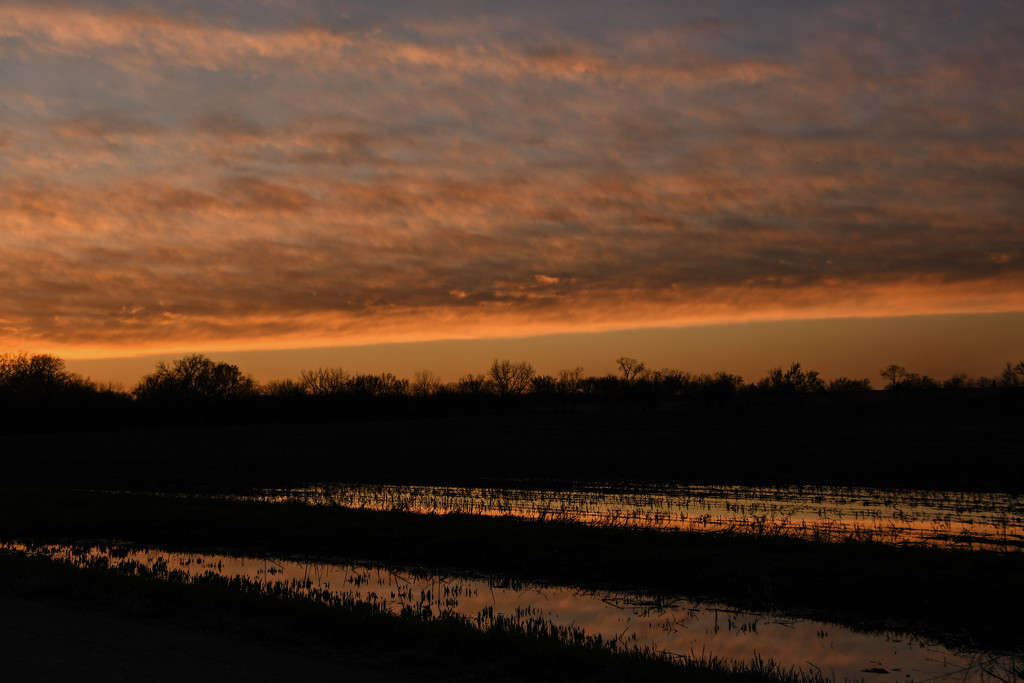 Standing Water with Sunset Reflection by kareenking