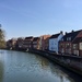 River Wensum by gillian1912