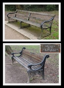 15th Apr 2019 - Highfield Park - two seats in need of some TLC