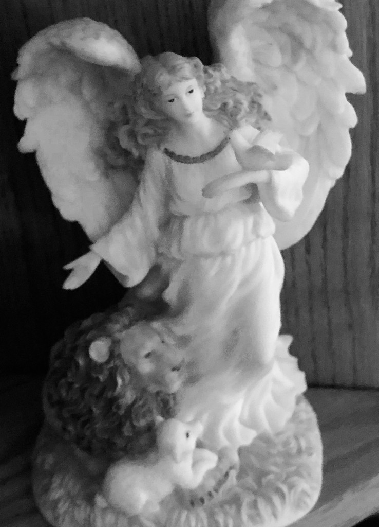 An angel gained her wings today by homeschoolmom