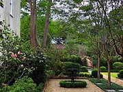 19th Apr 2019 - Formal garden, historic district, Charleston, SC