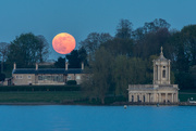 19th Apr 2019 - The Pink  Moon
