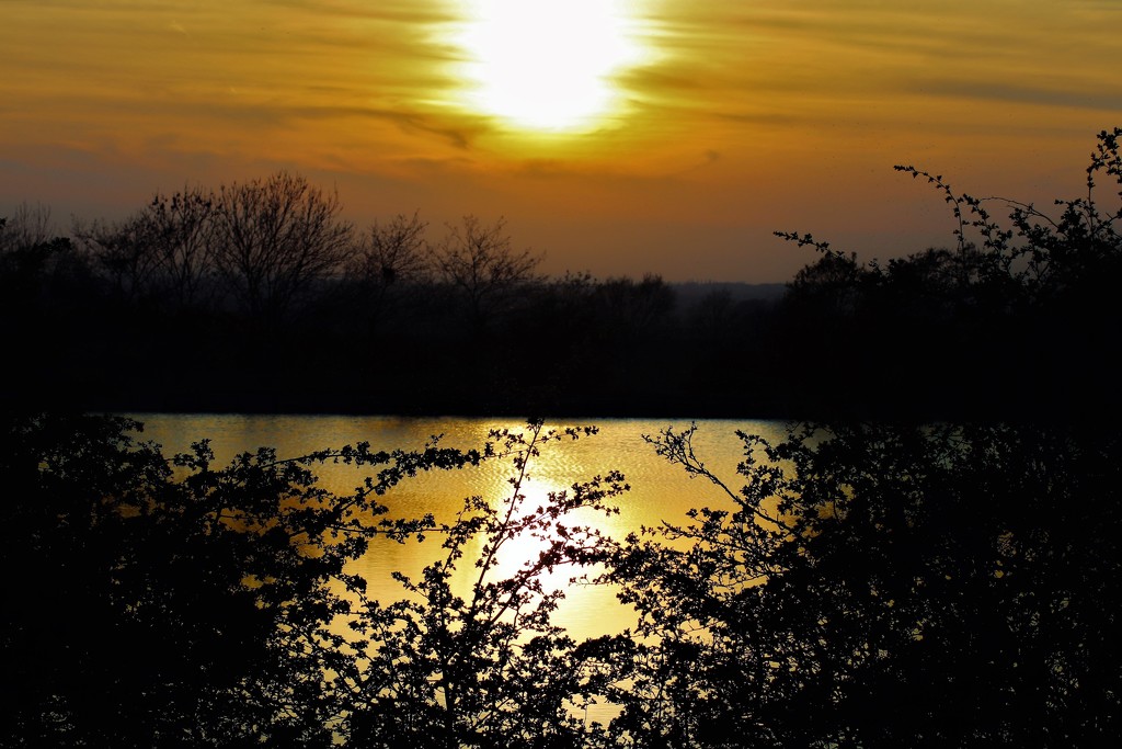 Reservoir Sunset by carole_sandford