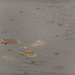 a rainy day at the lake... by jackies365
