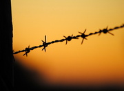 19th Apr 2019 - Barbed Wire at Sunset