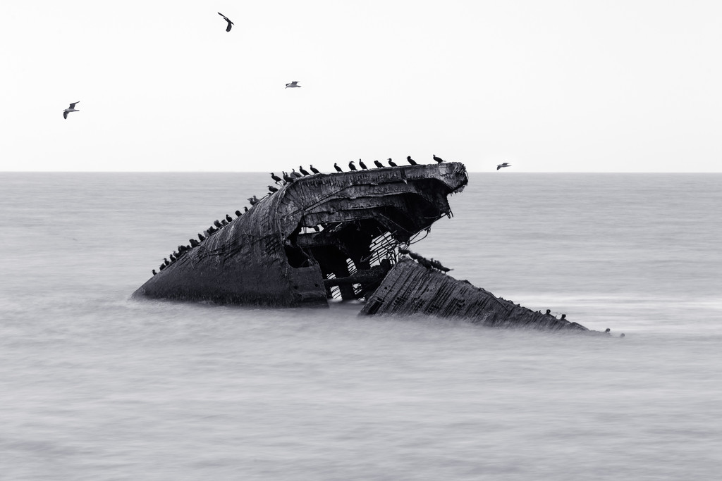 SS Atlantus, Cape May, NJ by swchappell