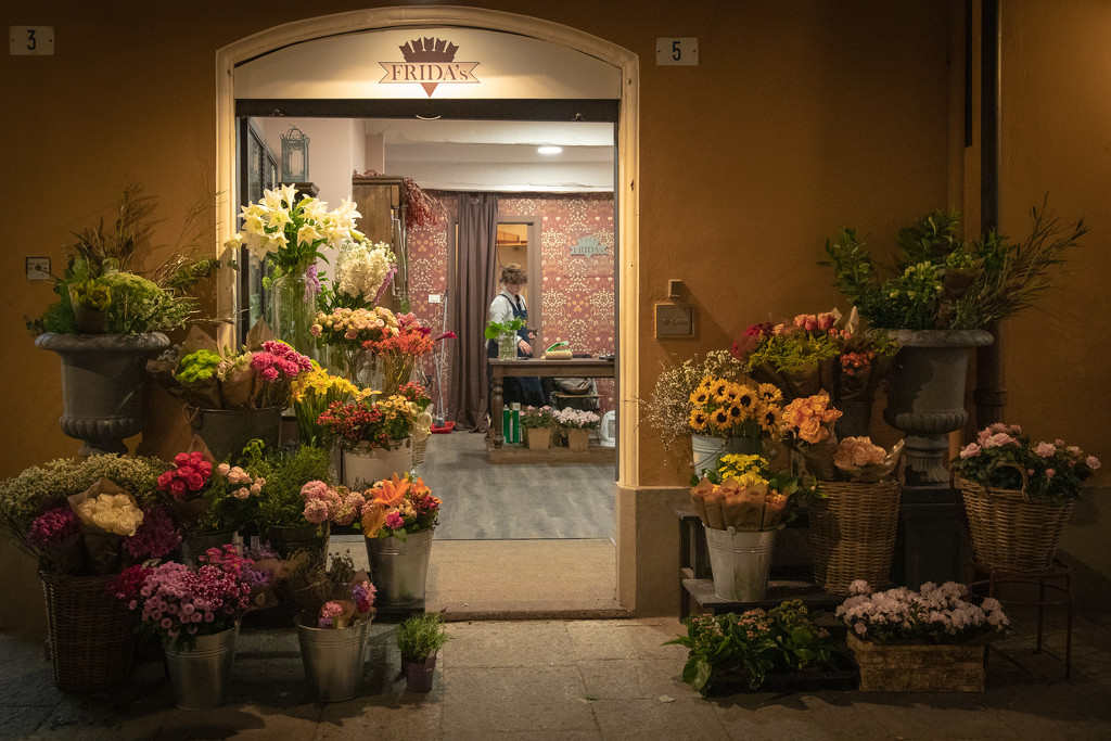 Modena Flower Shop by jyokota