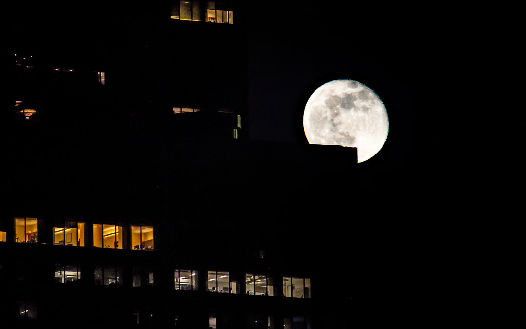 Moon Emerges from Behind Sears Tower by taffy