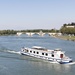 Rhone River Avignon by nicolecampbell