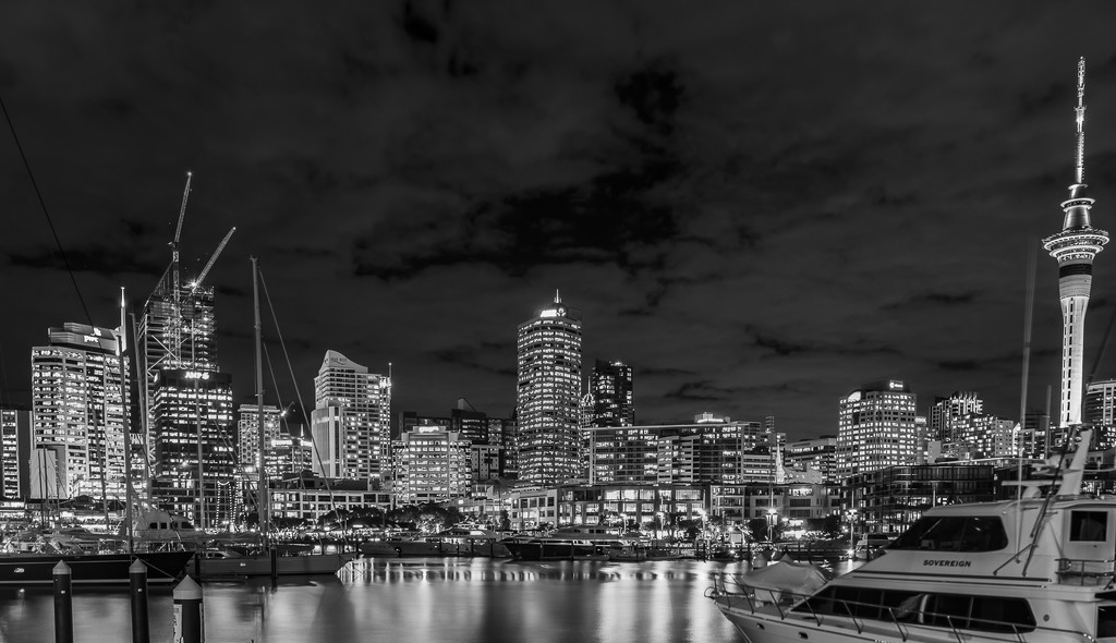 Auckland in B&W by nickspicsnz