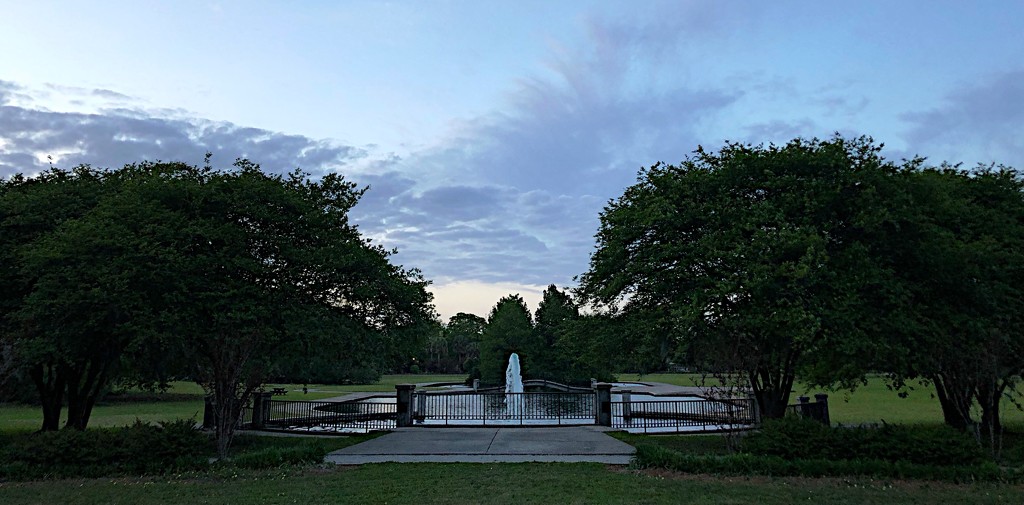 Late afternoon, Hampton Park, Charleston by congaree