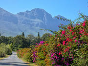 22nd Apr 2019 - The road leading to Murati