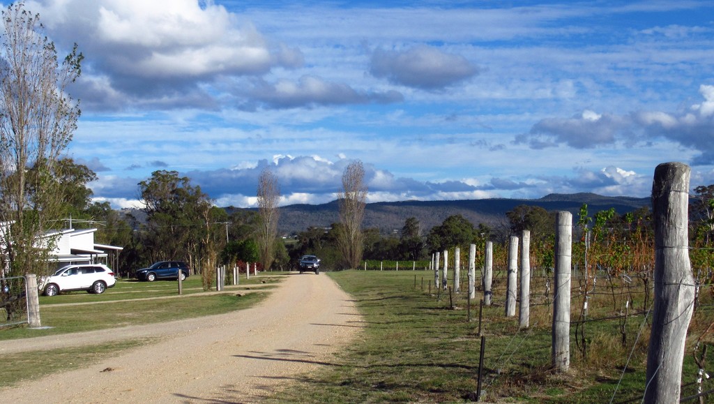 Autumn in the vineyards by robz