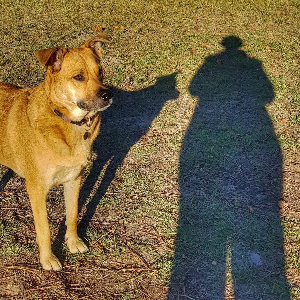 My shadow by eleanor