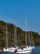22nd Apr 2019 - Yachts in the sun