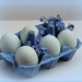 Blue Eggs. by wendyfrost