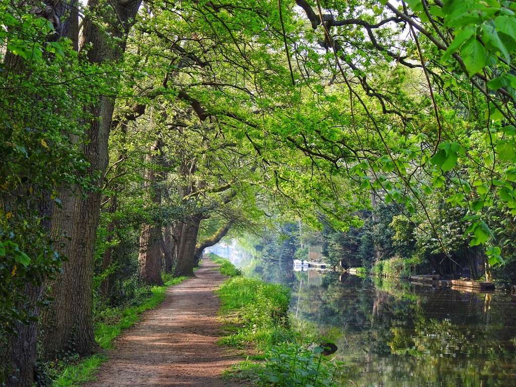 Basingstoke Canal by mattjcuk