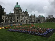 13th Apr 2019 - Parliament in Victoria, B.C.
