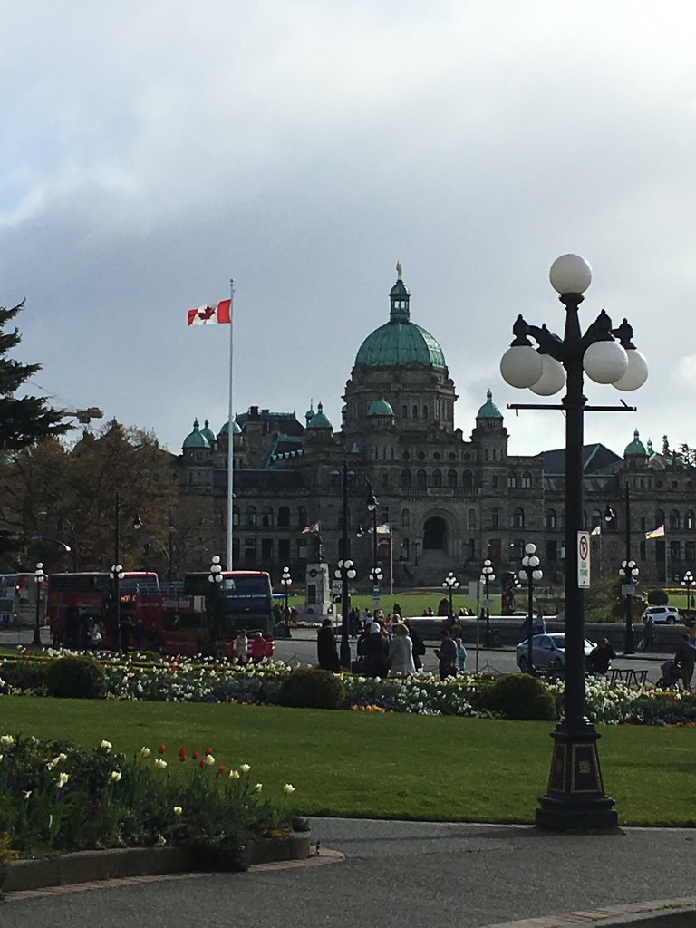 Spring in Victoria, B.C. by clay88