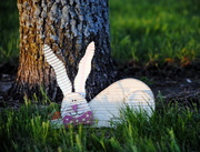 21st Apr 2019 - The Easter Bunny Stopped By