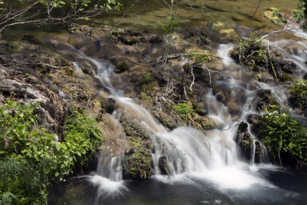 Slow Shutter Speed by gaylewood