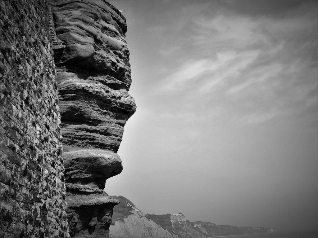 Rock Face by ajisaac