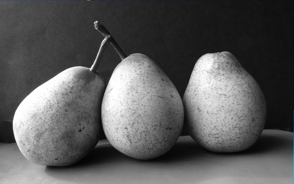 Pear still life - after Edward Weston by shannejw