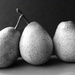 Pear still life - after Edward Weston by shannejw