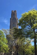 24th Apr 2019 - Obligatory Cathedral Of Learning photo #190,423