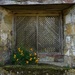 wallflowers on the windowsill by quietpurplehaze