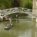 Punting under the mathematical bridge by shannejw
