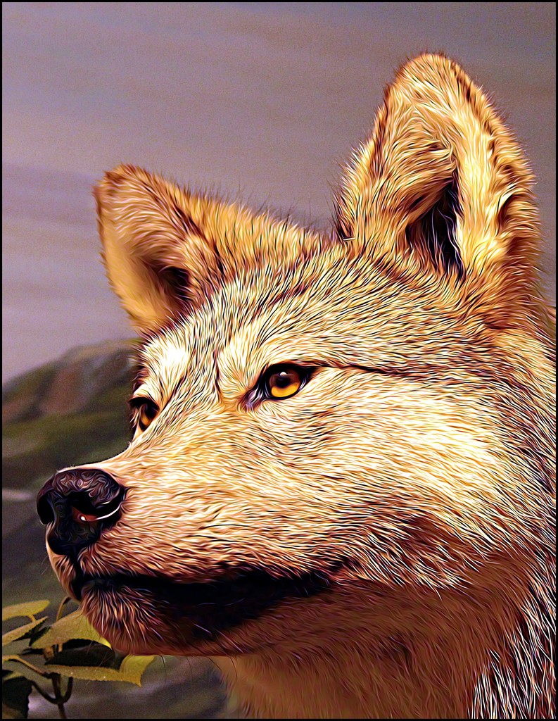 Wolf by olivetreeann
