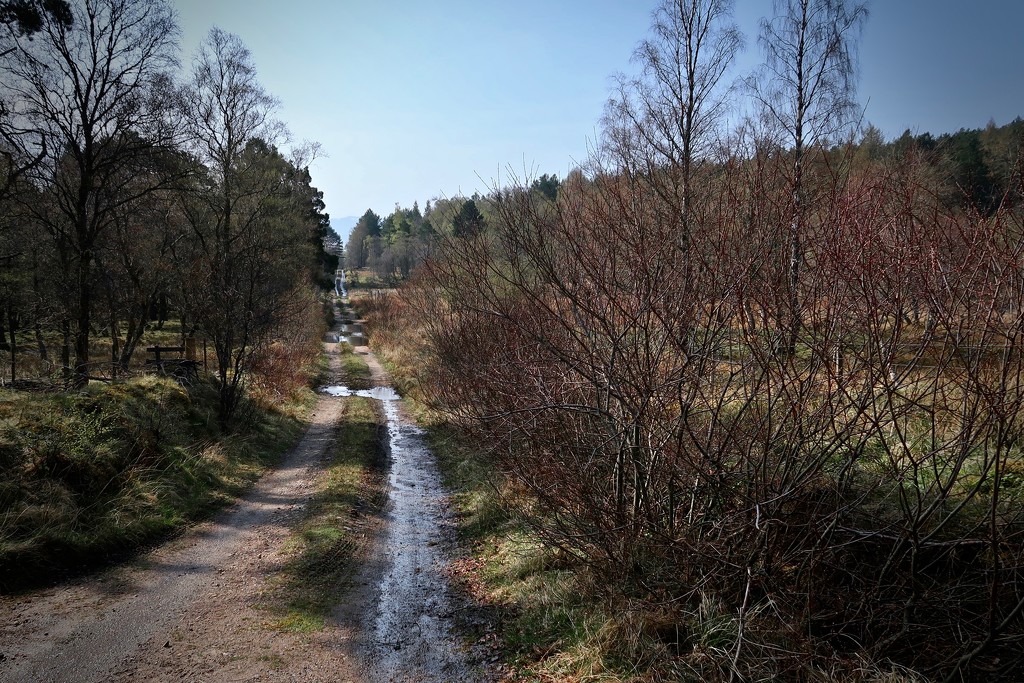 The Old Military Road near Ballater by jamibann