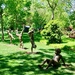 “The Cartwheel Kids!” by louannwarren