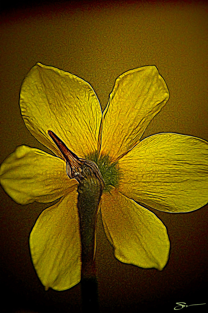 ETSOOI Daffodil by skipt07