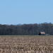 Central Illinois Farmland by lsquared