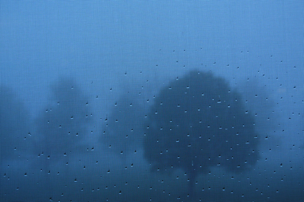 Morning Dew and Fog, My Inspiration by genealogygenie