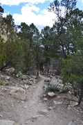 27th Apr 2019 - Hiking Trail IN The Sandia Mountains.