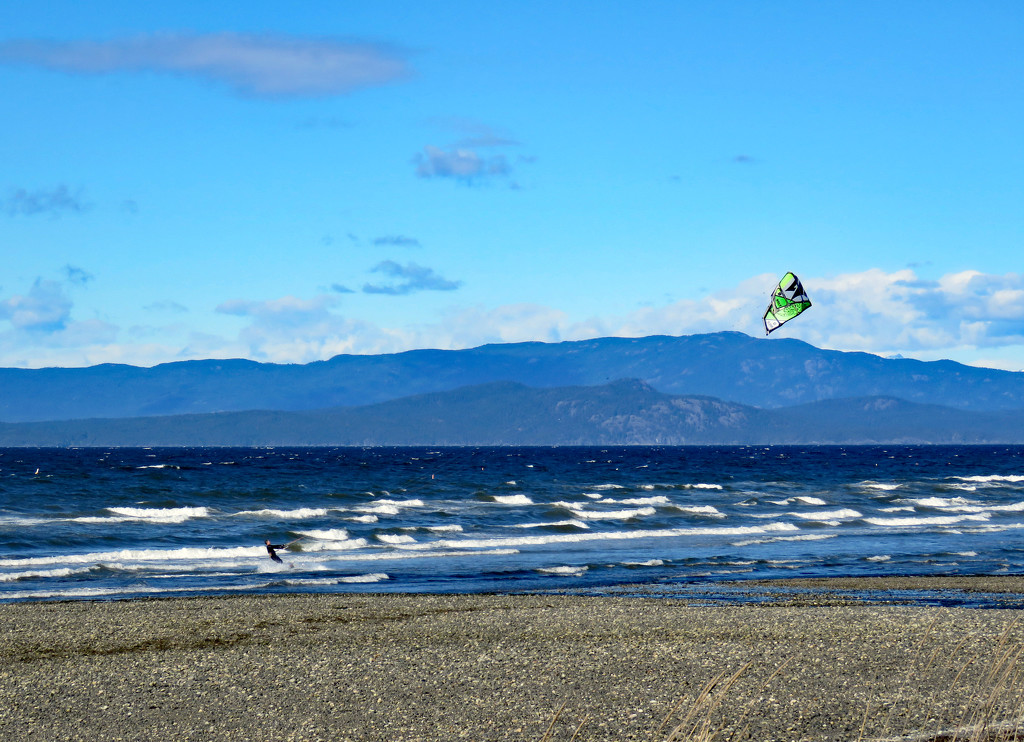 Wind surfing on a breezy day! by kathyo