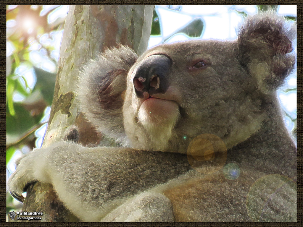 nearly natural by koalagardens