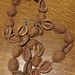Nut shell necklace  by mcsiegle