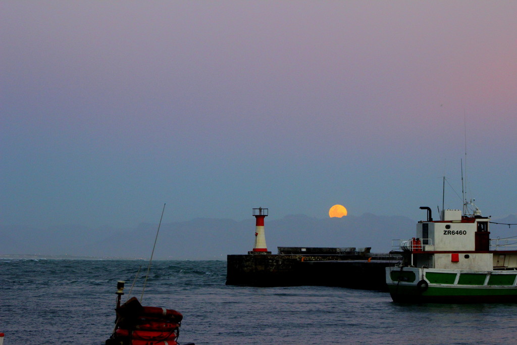 The super moon rises over Kalk Bay by eleanor