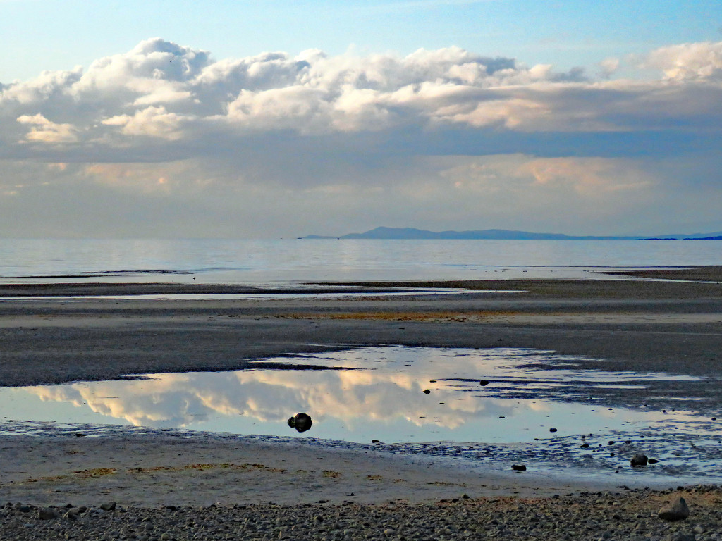 Reflections on Parksville Beach by kathyo