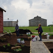29th Apr 2019 - Another master gardener project