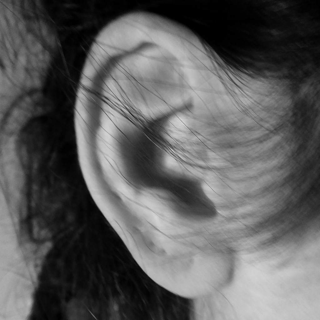 Ear, ear by shannejw