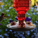 ~Hummingbird~ by crowfan
