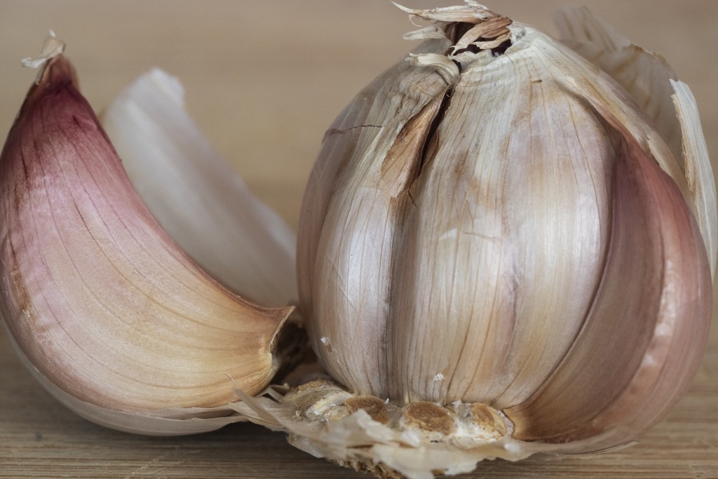 Simply Garlic by bizziebeeme