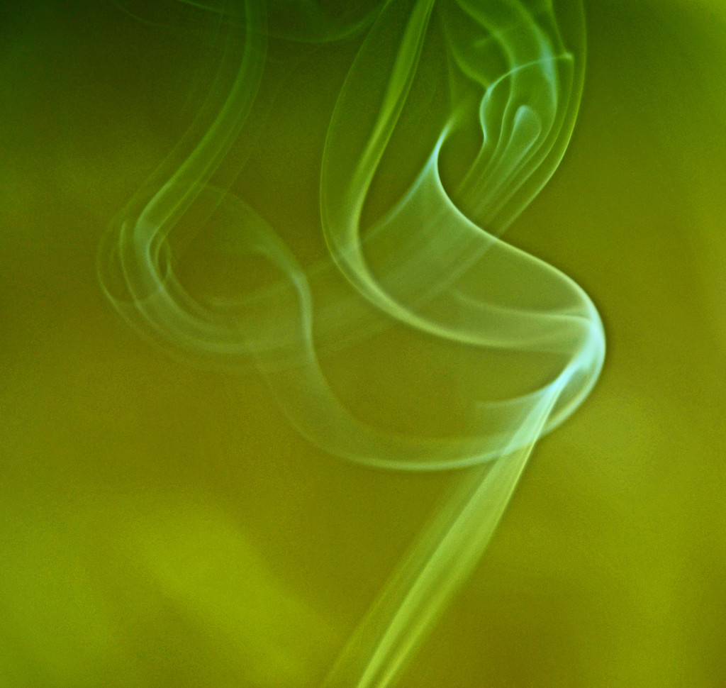 Green Swirls by fbailey