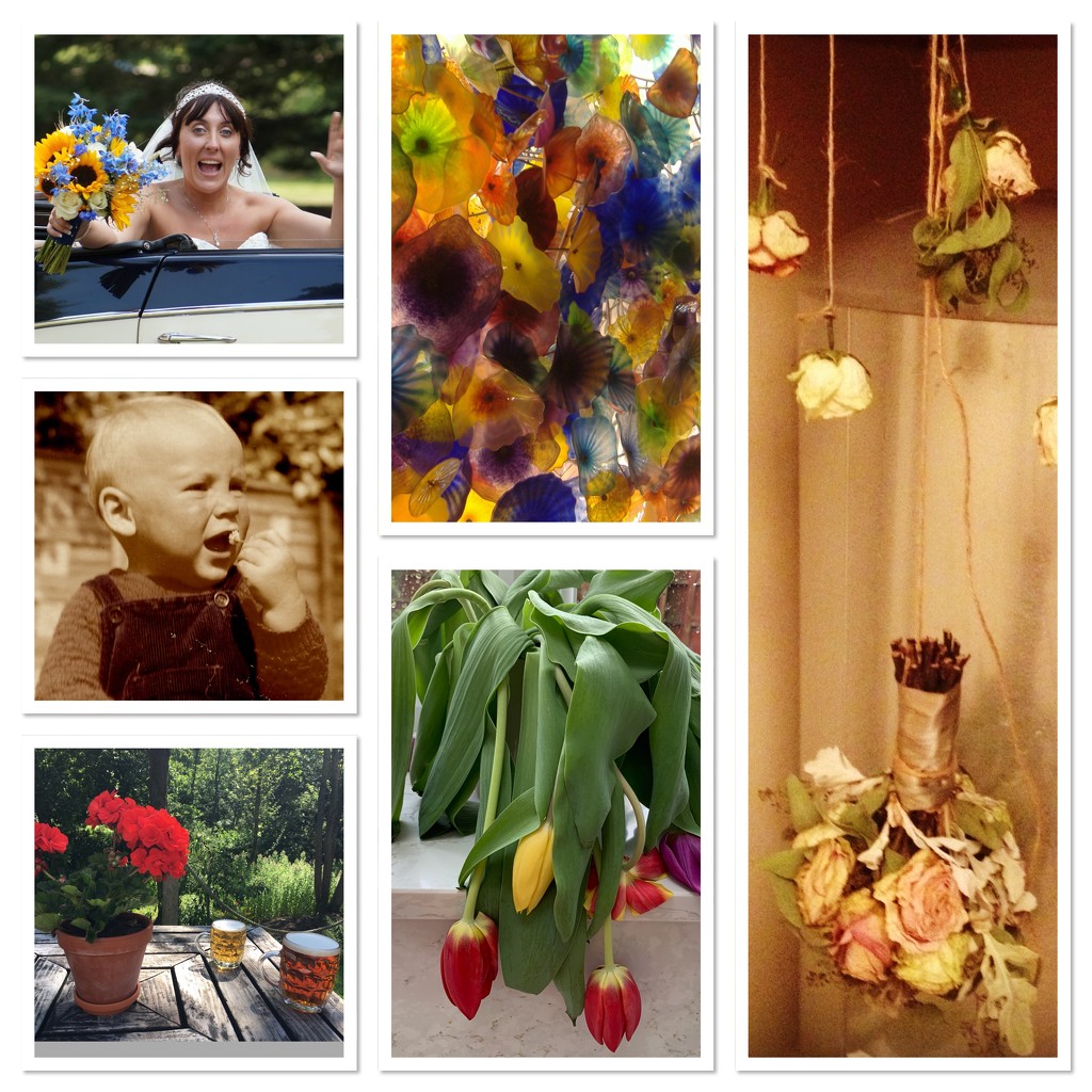 Collage - floral by tinley23