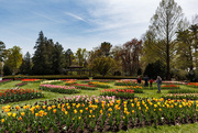 30th Apr 2019 - Another view of the Park